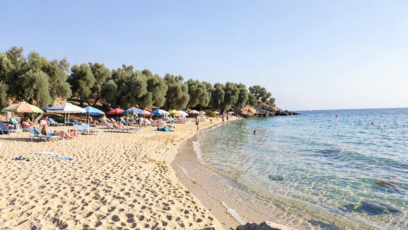 Πού να μείνω στο Τσιλιβί Ζακύνθου: Οι καλύτερες περιοχές και 18 καταλύματα