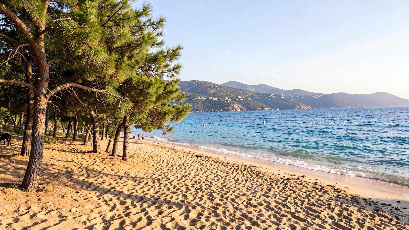 Πού να μείνω στους Πεύκους Ρόδου: Οι καλύτερες περιοχές και 22 καταλύματα